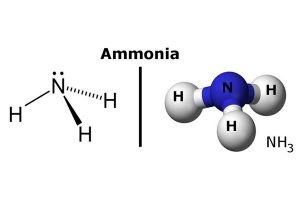 amoniac là gì