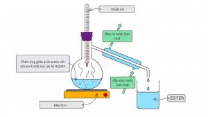 Điều chế Ethyl Acetate 